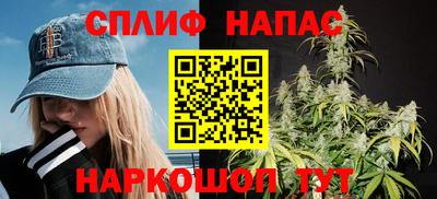 spice Дубна