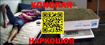 spice Дубна